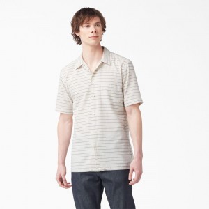 Beige Men's Dickies 1922 Short Sleeve Shirt | OQB760149