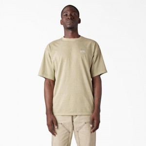 Beige Men's Dickies Bandon Short Sleeve T-Shirt | BMK065219