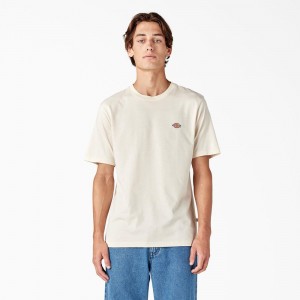 Beige Men's Dickies Mapleton Short Sleeve T-Shirt | RVA847360