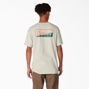 Beige Men's Dickies Skateboarding Split Graphic T-Shirt | WSA295640