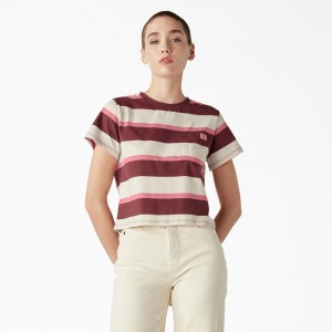 Beige Women's Dickies Large Striped Cropped Pocket T-Shirt | TWX142873