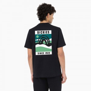 Black Men's Dickies Baker City Short Sleeve T-Shirt | NDM645839