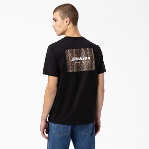 Black Men's Dickies Camden Box Graphic T-Shirt | QTB736584