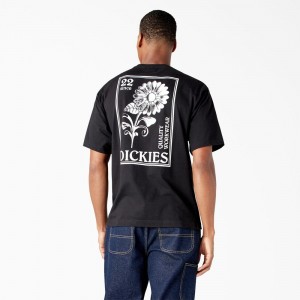 Black Men's Dickies Garden Plain Graphic T-Shirt | SEV320965