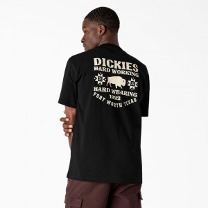 Black Men's Dickies Hays Graphic T-Shirt | PXZ395481