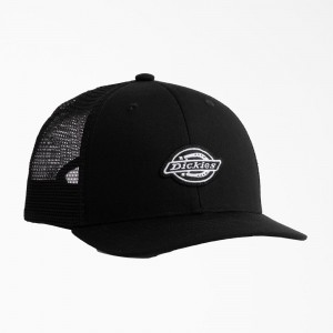 Black Men's Dickies Low Pro Logo Trucker Hat | JGS509821