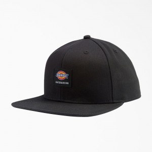 Black Men's Dickies Skateboarding Flat Bill Cap | VFK743058