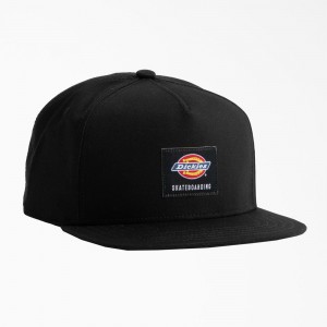 Black Men's Dickies Skateboarding Mid Pro Cap | TVD673849