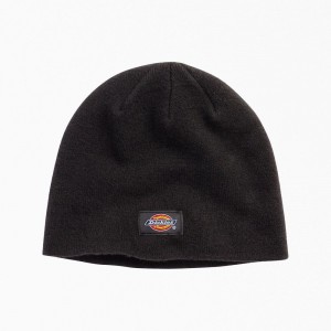 Black Men's Dickies Skull Beanie | LTD784310