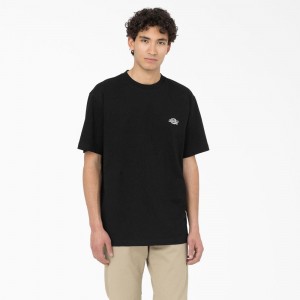 Black Men's Dickies Summerdale Short Sleeve T-Shirt | CJW459728