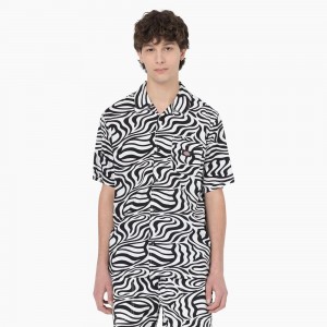 Black Men's Dickies Zebra Print Short Sleeve Shirt | IVQ491607