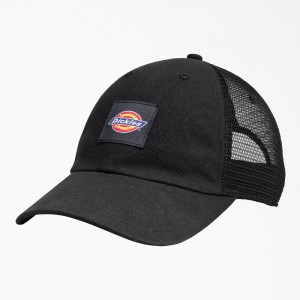 Black Women's Dickies Canvas Trucker Hat | UZH653271