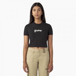 Black Women's Dickies Mayetta Cropped T-Shirt | DVR185296