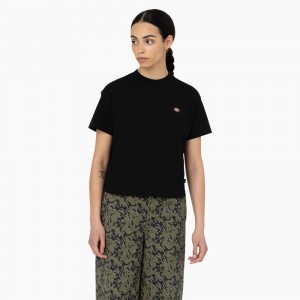 Black Women's Dickies Oakport Cropped T-Shirt | BAV806254