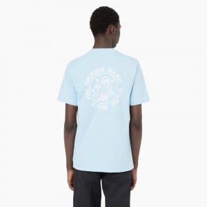 Blue Men's Dickies Bayside Gardens Short Sleeve T-Shirt | GQF357612