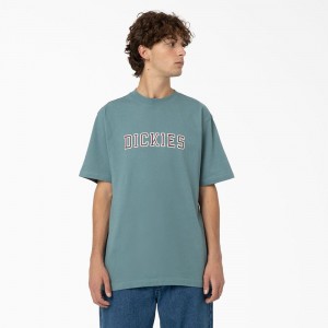 Blue Men's Dickies Melvern Graphic T-Shirt | OGR406139