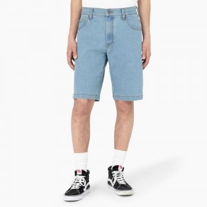 Blue Men's Dickies Skateboarding Loose Fit Wingville Shorts | ZMP289507