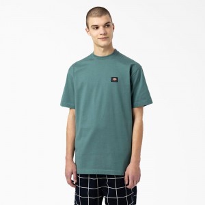 Blue Men's Dickies Skateboarding Mount Vista T-Shirt | DMS183209