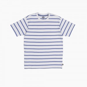 Blue Men's Dickies Skateboarding Striped T-Shirt | WUJ032479