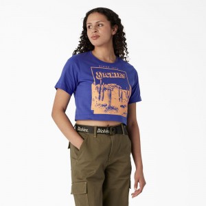 Blue Women's Dickies Desert Graphic Cropped T-Shirt | FNT298634