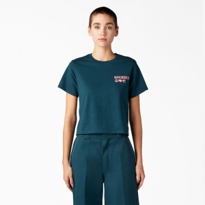 Blue Women's Dickies Graphic T-Shirt | GDS607853