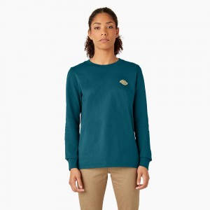 Blue Women's Dickies Long Sleeve Heavyweight Graphic T-Shirt | ORE874130