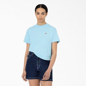 Blue Women's Dickies Oakport Cropped T-Shirt | CZD629184