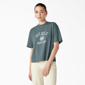 Blue Women's Dickies Oxford Graphic T-Shirt | KQN714265