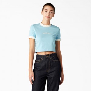 Blue Women's Dickies Warm Springs T-Shirt | NZT251349