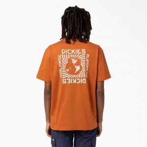 Brown Men's Dickies Marbury Short Sleeve T-Shirt | MUY618920