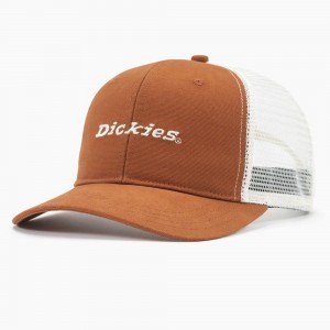 Brown Men's Dickies Two-Tone Trucker Cap | LGX618723