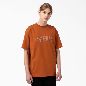 Brown Men's Dickies Union Springs Short Sleeve T-Shirt | LBO708925