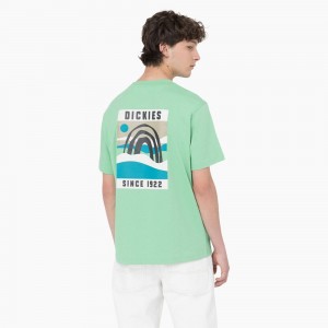 Green Men's Dickies Baker City Short Sleeve T-Shirt | QBY759832