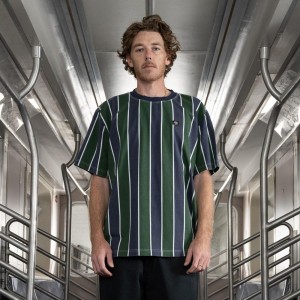 Green Men's Dickies Jake Hayes Striped T-Shirt | DRW560273