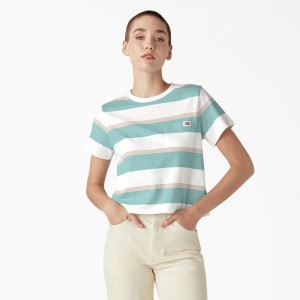 Green Women's Dickies Large Striped Cropped Pocket T-Shirt | VLI512304