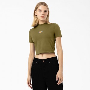 Green Women's Dickies Maple Valley Logo Cropped T-Shirt | CGI825701