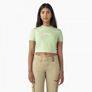 Green Women's Dickies Mayetta Cropped T-Shirt | ISR190238