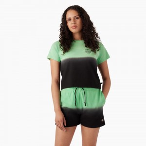 Green Women's Dickies Ombre Cropped T-Shirt | PDU053816