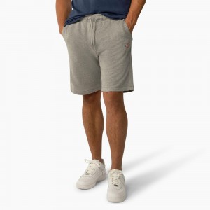 Grey Men's Dickies Mapleton Regular Fit Shorts | YRJ824750