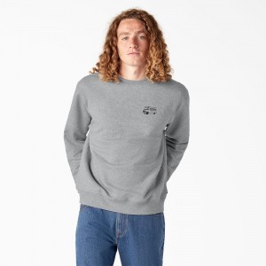 Grey Men's Dickies Skateboarding Pool Drainage Graphic Sweatshirt | GHY315268