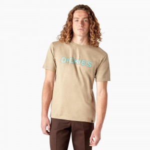 Khaki Men's Dickies Skateboarding Logo T-Shirt | BYC167958