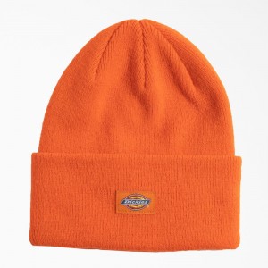 Orange Men's Dickies Neon Cuffed Beanie | WXK329405