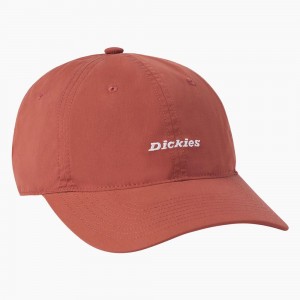 Orange Men's Dickies Premium Collection Ball Cap | MNO840953