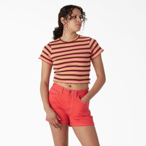 Orange Women's Dickies Striped Cropped Baby T-Shirt | TRK452603