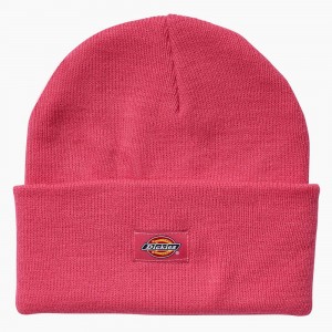 Pink Men's Dickies Breast Cancer Awareness Cuffed Knit Beanie | IWU710652