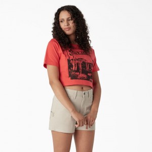 Pink Women's Dickies Desert Graphic Cropped T-Shirt | LDW654802