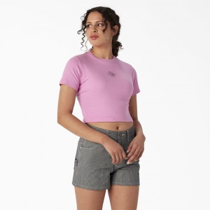 Pink Women's Dickies Embroidered Cropped Baby T-Shirt | TOZ164059