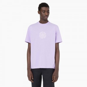 Purple Men's Dickies Beavertown Short Sleeve T-Shirt | LSG604178