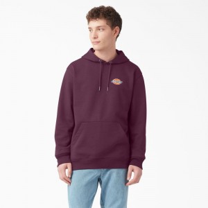 Purple Men's Dickies Fleece Embroidered Chest Logo Hoodie | LIR251936