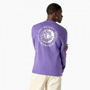 Purple Men's Dickies Garden Plain Graphic Long Sleeve T-Shirt | TXU945872